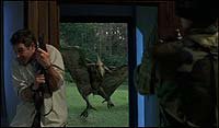 Image from: Pterodactyl (2005)