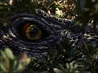 Image from: Curse of the Komodo, The (2004)