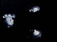 Image from: Bestia nello spazio, La (1980)