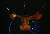 Image from: Caged Heat 3000 (1995)