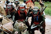 Image from: Teenage Mutant Ninja Turtles III (1993)