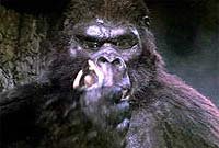 Image from: King Kong Lives (1986)