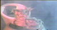 Image from: Hobgoblins (1988)