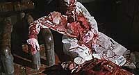 Image from: Contamination (1980)