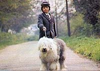 Image from: Digby, the Biggest Dog in the World (1973)