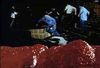 Image from: Beware! The Blob (1972)