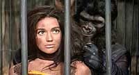 Image from: Planet of the Apes (1968)