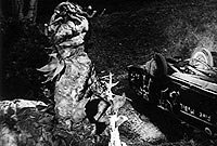 Image from: Creeping Terror, The (1964)