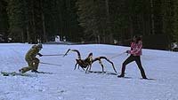 Image from: Ice Spiders (2007)