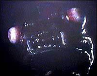 Image from: Serpiente de Mar (1985)