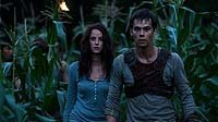 Image from: Maze Runner, The (2014)