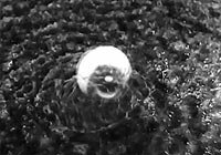 Image from: Beast with 1,000,000 Eyes!, The (1955)