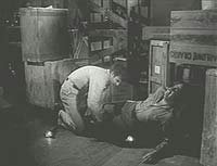 Image from: Killer Shrews, The (1959)