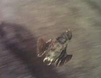 Image from: Zontar the Thing from Venus (1966)