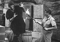 Image from: Killer Ape (1953)