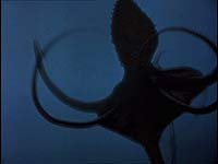 Image from: Octopus 2: River of Fear (2001)