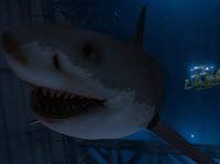 Image from: Megalodon (2002)