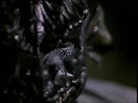 Image from: Shadow Creature (1995)