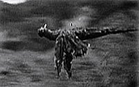 Image from: Flying Serpent, The (1946)