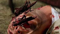 Image from: Locusts: The 8th Plague (2005)