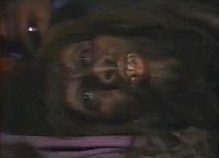 Image from: Bigfoot (1987)