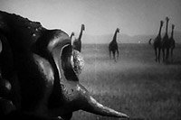 Image from: Monster from Green Hell (1957)