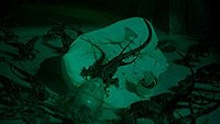 Image from: Alien Lockdown (2004)