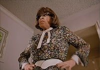 Image from: Invisible Mom (1996)