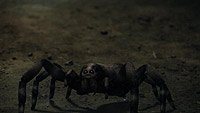 Image from: Big Bad Bugs (2012)