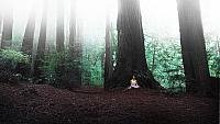Image from: Wisdom Tree, The (2015)