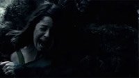 Image from: Lost Woods (2012)