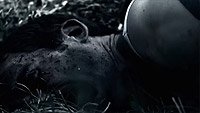 Image from: Lost Woods (2012)