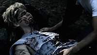 Image from: Lost Woods (2012)