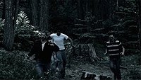 Image from: Lost Woods (2012)