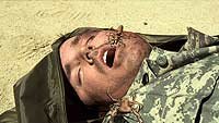 Image from: Camel Spiders (2011)
