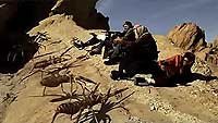 Image from: Camel Spiders (2011)