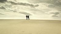 Image from: Sol Invictus (2012)