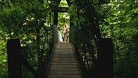 Image from: 1313: Bigfoot Island (2012)