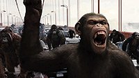 Image from: Rise of the Planet of the Apes (2011)
