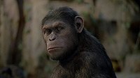 Image from: Rise of the Planet of the Apes (2011)