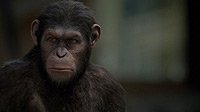 Image from: Rise of the Planet of the Apes (2011)