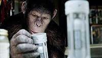 Image from: Rise of the Planet of the Apes (2011)