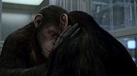 Image from: Rise of the Planet of the Apes (2011)