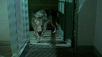 Image from: Dark Reprieve (2008)