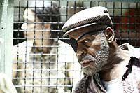 Image from: Blindness (2008)