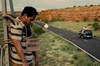 Image from: Carriers (2009)