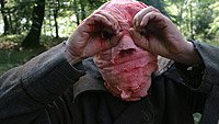 Image from: Cronocrímenes, Los (2007)