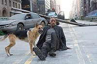 Image from: I Am Legend (2007)