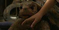 Image from: Chiisaki yusha-tachi: Gamera (2006)
