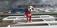 Image from: Underdog (2007)